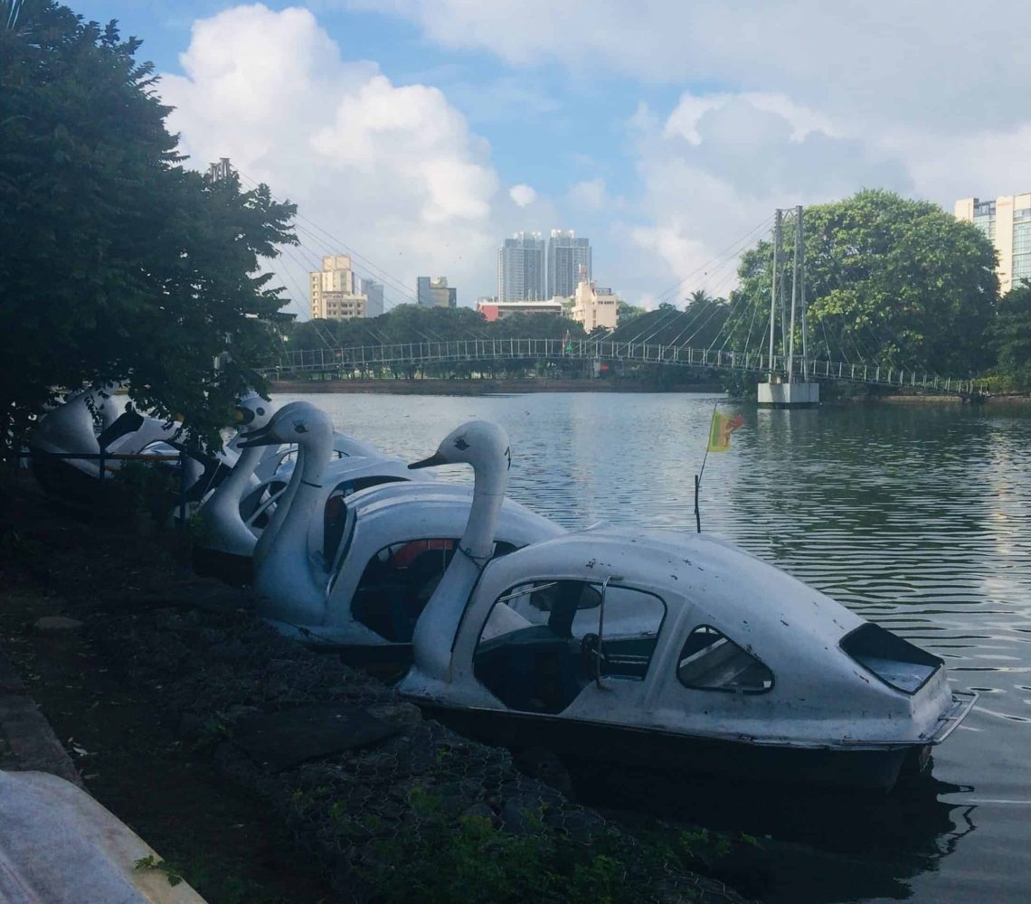 Pedel Swan Boats at the Beira Lake